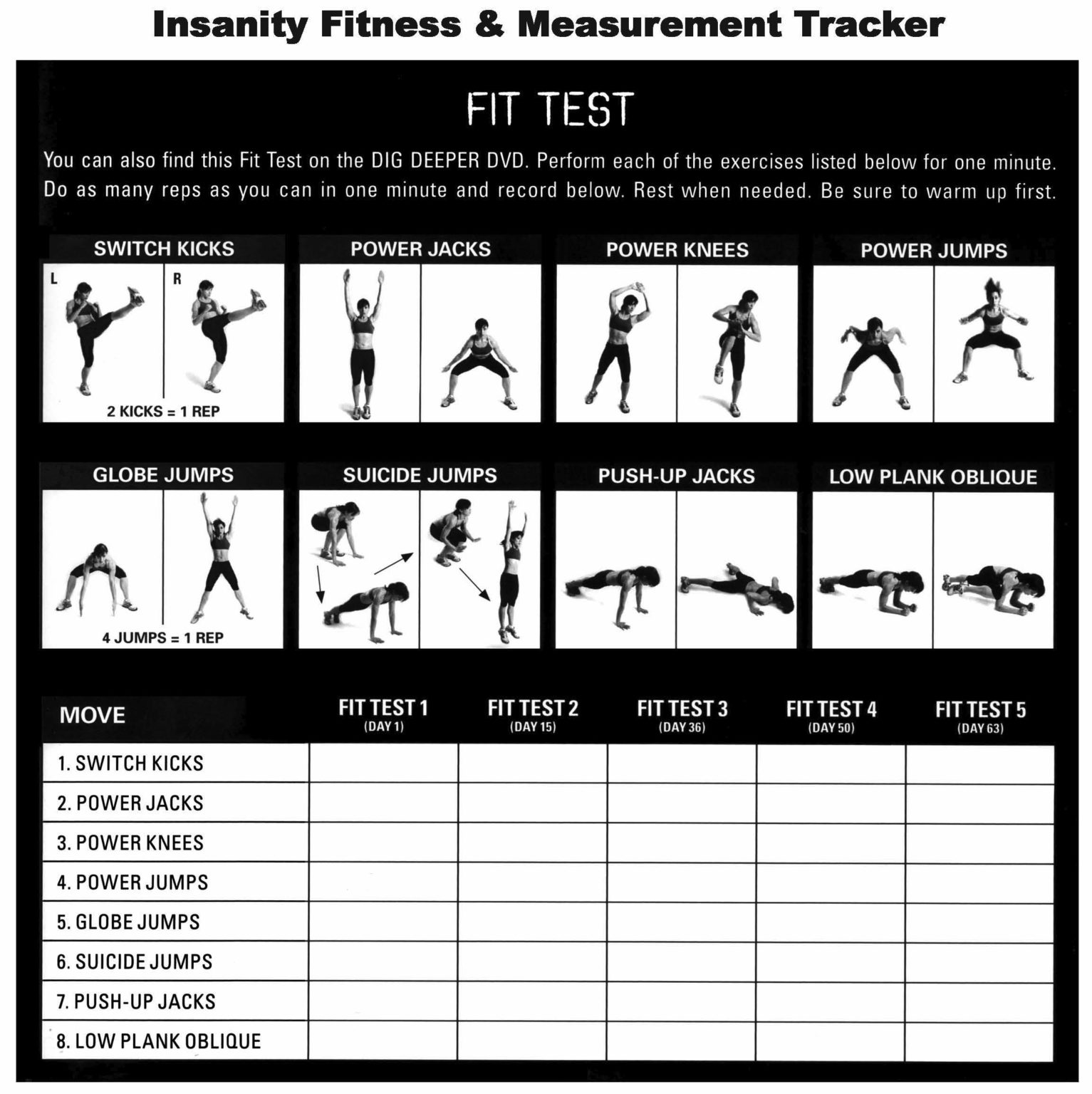 fit test insanity online free